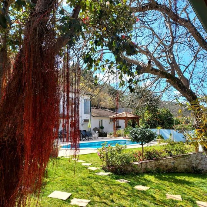 Casat5, Ferias, Piscina Privativa. Agueda, Aveiro Villa Exteriör bild