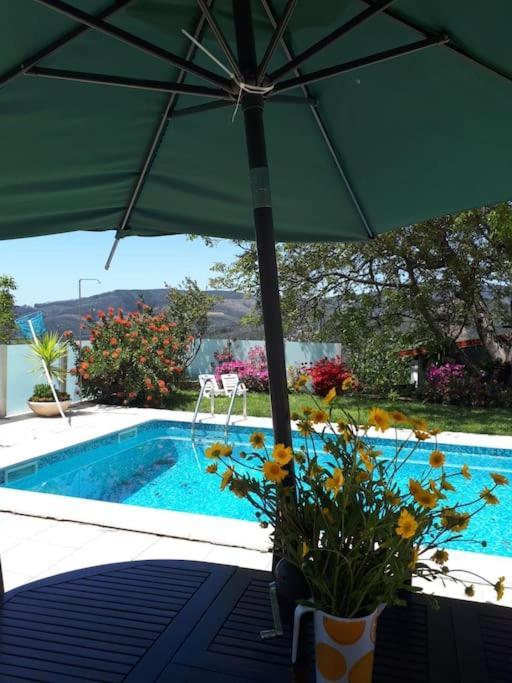 Casat5, Ferias, Piscina Privativa. Agueda, Aveiro Villa Exteriör bild