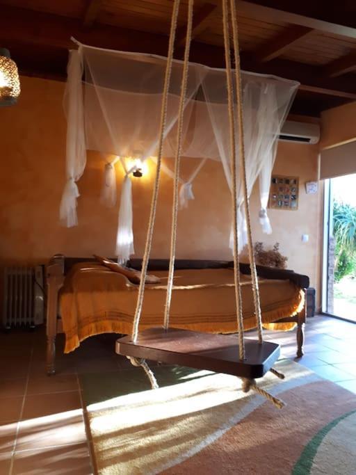 Casat5, Ferias, Piscina Privativa. Agueda, Aveiro Villa Exteriör bild