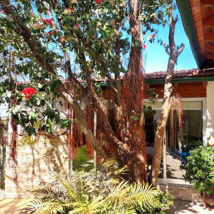 Casat5, Ferias, Piscina Privativa. Agueda, Aveiro Villa Exteriör bild