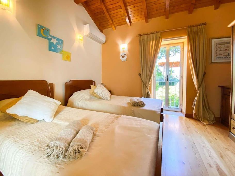 Casat5, Ferias, Piscina Privativa. Agueda, Aveiro Villa Exteriör bild