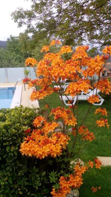 Casat5, Ferias, Piscina Privativa. Agueda, Aveiro Villa Exteriör bild